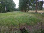Weide te huur, Weidegang, 2 of 3 paarden of pony's