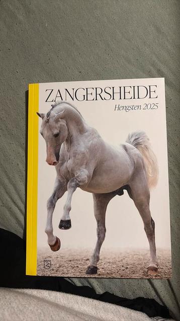 Boek zangersheide hengsten 2025 beschikbaar voor biedingen