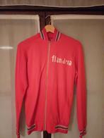 Flandria claeys training pak retro koers, Fietsen en Brommers, Ophalen of Verzenden