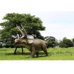Triceratops — Statue de dinosaure Longueur 434 cm, Enlèvement, Neuf