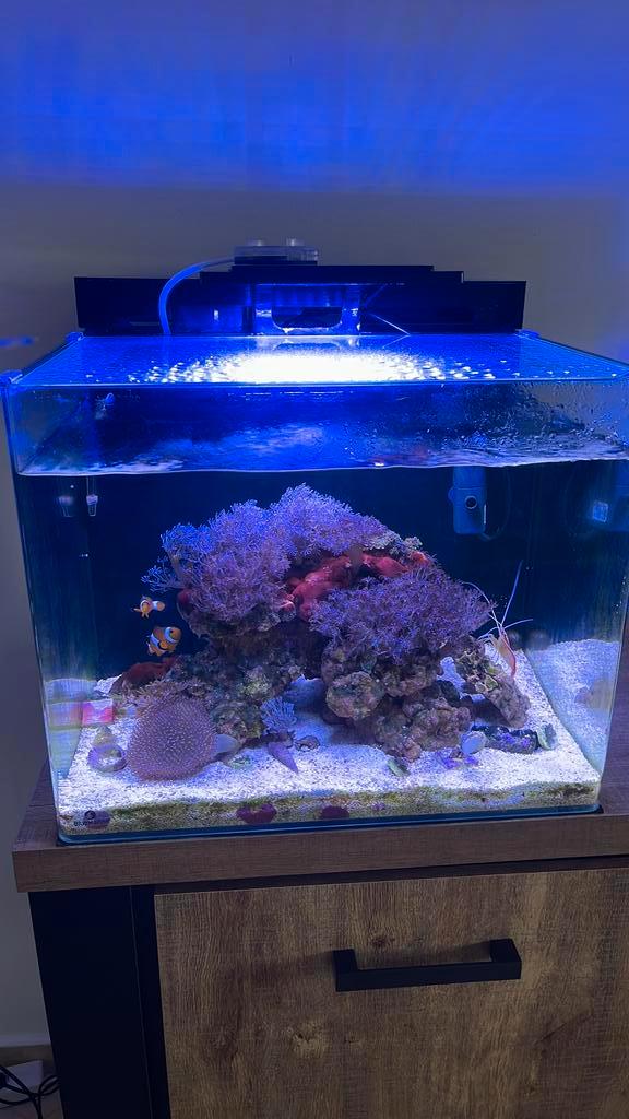 Zeeaquarium 90liter, Dieren en Toebehoren, Vissen | Aquaria en Toebehoren, Zo goed als nieuw, Ophalen