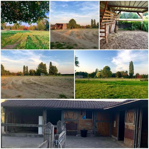 2 Weideplaatsen  vrij te Vremde., Dieren en Toebehoren, Stalling en Weidegang