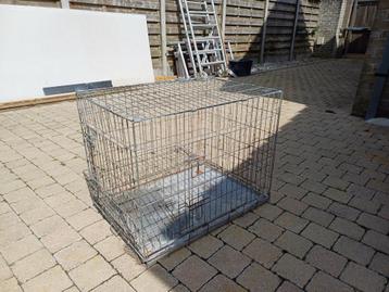 Bench honden Tweedehands beschikbaar voor biedingen