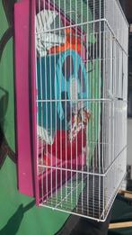 Hamsterkooi, Ophalen, Zo goed als nieuw