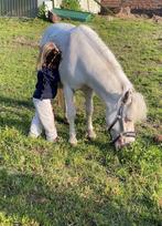Lieve shetlander merrie, Dieren en Toebehoren, Pony's, B, A pony (tot 1.17m), 11 jaar of ouder, Recreatiepony