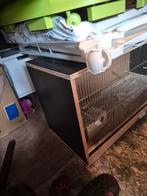 Kweekkooi vogels, Dieren en Toebehoren, Ophalen, Zo goed als nieuw