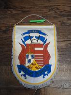 Fanion sapeurs-pompiers de liège, Collections, Enlèvement ou Envoi, Autres, Emblème ou Badge