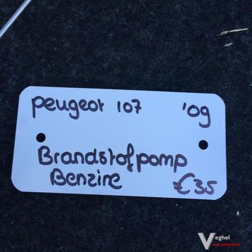 Peugeot 107 1.0 B 5drs 2009 2500072  Brandstofpomp   77020-0 beschikbaar voor biedingen
