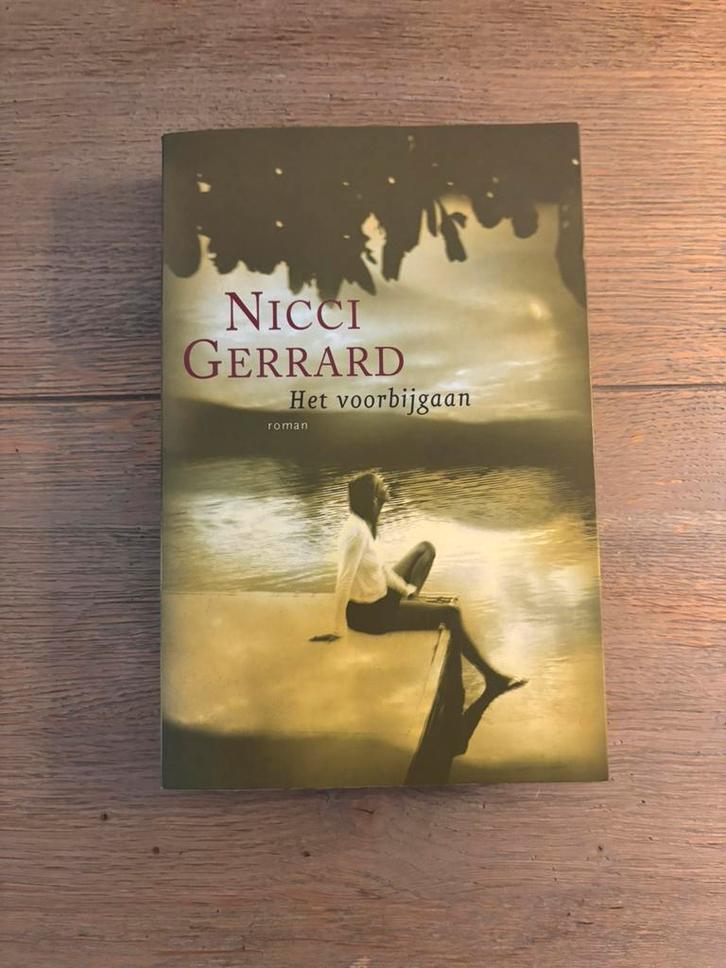Nicci Gerrard - Het voorbijgaan, Boeken, Literatuur, Zo goed als nieuw, Ophalen of Verzenden