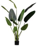 Artificieel plant, Ophalen, Zo goed als nieuw