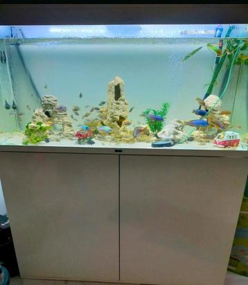 Aquarium te koop  van 1,2m