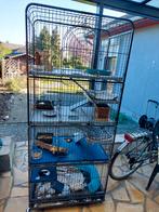 Cage 4 étages à  vendre, Animaux & Accessoires, Rongeurs & Lapins | Cages & Clapiers, 90 cm ou plus, Enlèvement ou Envoi, 75 à 110 cm