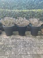 Elho diverse bloempotten bloembakken, Tuin en Terras, Ophalen, Zo goed als nieuw