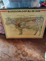 prenten, Avant 1940, Gravure, Enlèvement, Utilisé