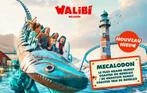 Walibi - 2 tickets entrées, Twee personen, Ticket of Toegangskaart