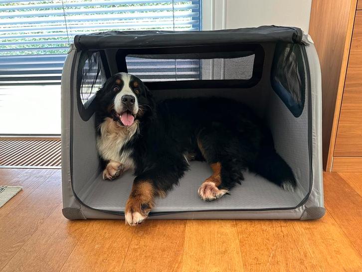 Porsche Tami Opblaasbare transportbox kofferbak + trapje, Dieren en Toebehoren, Hondenhokken, Zo goed als nieuw, Ophalen