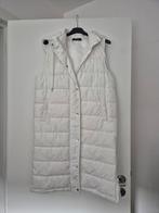 Bodywarmer jus de pom maat L, Kleding | Dames, Bodywarmers, Ophalen of Verzenden, Zo goed als nieuw, Maat 42/44 (L)