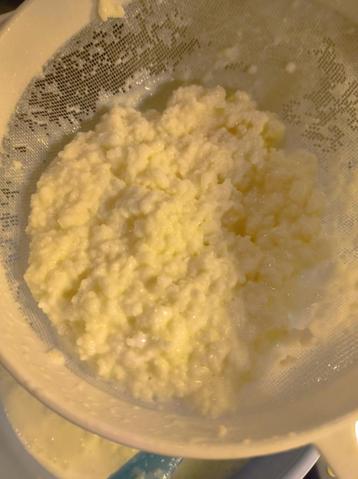 Kefir beschikbaar voor biedingen