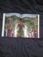 Van Eyck: een optische revolutie boek, Livres, Histoire nationale, Comme neuf, Diverse auteurs, 14e siècle ou avant, Enlèvement ou Envoi