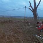 Brandhout te verkrijgen., Jardin & Terrasse, Bois de chauffage, Enlèvement