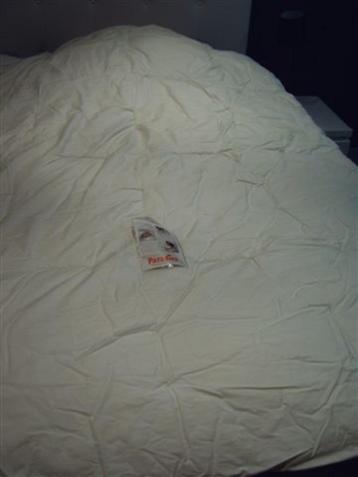 1-persoons windterdonsdeken  beschikbaar voor biedingen