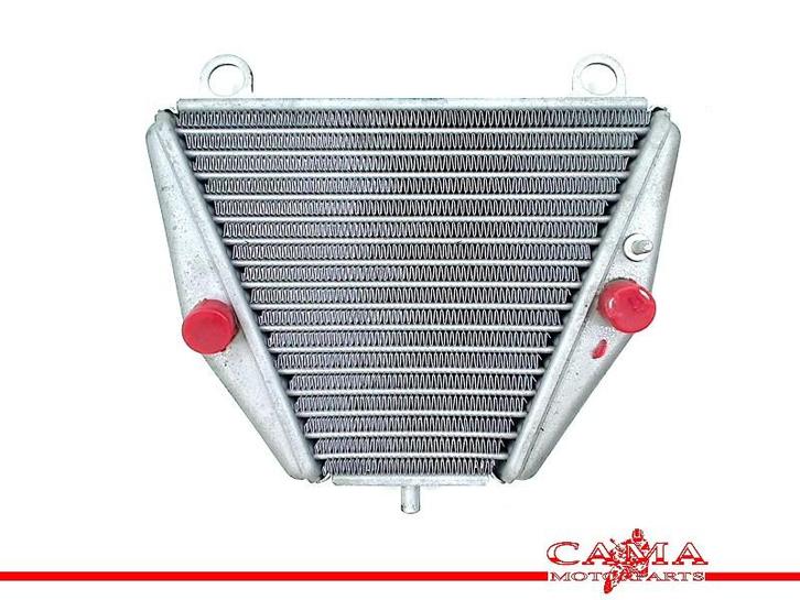 OLIEKOELER Ducati Panigale V4 2018- (01-2018/-) (54811363A), Motoren, Onderdelen | Ducati, Gebruikt