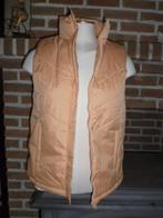 nieuwe bodywarmer voor meisjes maat 152., Ophalen of Verzenden, Nieuw
