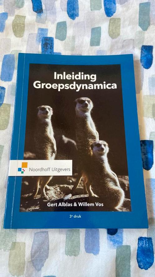 Willem Vos - Inleiding groepsdynamica, Livres, Psychologie, Utilisé, Autres sujets/thèmes, Enlèvement ou Envoi