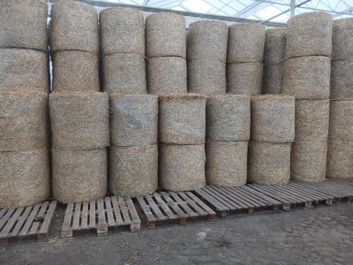 Midibalen/ hooi/stro/voordroog/hooi in folie, Dieren en Toebehoren, Dierenvoeding, Ophalen