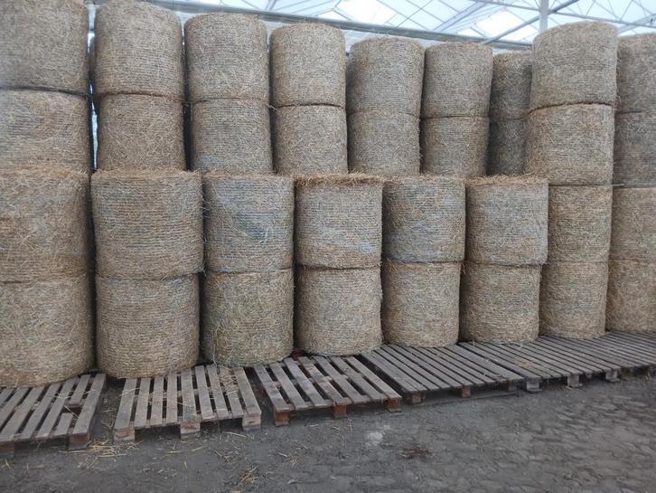 Midibalen/ hooi/stro/voordroog/hooi in folie, Dieren en Toebehoren, Dierenvoeding, Ophalen
