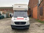 Sprinter 511, Autos, Camionnettes & Utilitaires, Achat, Entreprise, Boîte manuelle, Mercedes-Benz