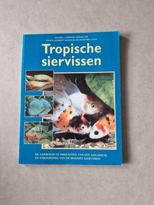Tropische siervissen - Esther J.J. Verhoef-Verhallen, Boeken, Dieren en Huisdieren, Vissen, Ophalen of Verzenden