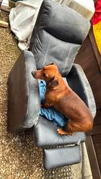 Relax zetel, Enlèvement, Utilisé