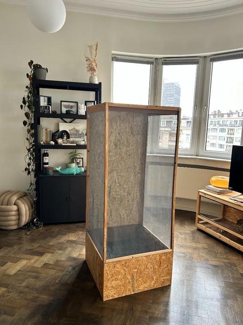 Terrarium ou flexarium bois 60x60x150, Dieren en Toebehoren, Reptielen en Amfibieën | Toebehoren, Gebruikt, Terrarium of Paludarium