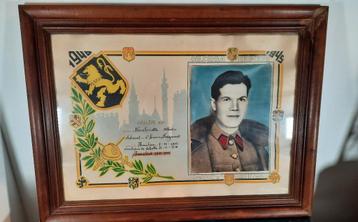 Hulde oorkonde WO2 6e Linie regiment (Schelle/Hemiksem) beschikbaar voor biedingen