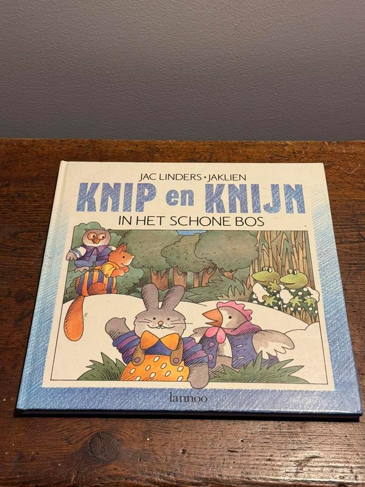 Kinderboek Knip en Knijn in het schone bos, Boeken, Kinderboeken | Jeugd | onder 10 jaar, Zo goed als nieuw, Fictie algemeen, Ophalen