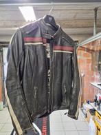 Motorvest Triumph, Motos, Vêtements | Vêtements de moto, Enlèvement ou Envoi