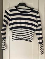 Fijn truitje, Kleding | Dames, Truien en Vesten, Blauw, Nieuw, Ophalen of Verzenden, ANDERE