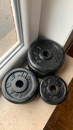 Set van 24 kg gietijzeren halterschijven, Ophalen, Gebruikt, Halterschijven