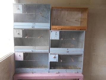 kweekkooien, Enlèvement, Utilisé, Bois, Cage d'élevage