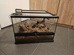 Exo Terra Terrarium 45x45x30cm, Dieren en Toebehoren, Ophalen of Verzenden, Gebruikt, Terrarium of Paludarium