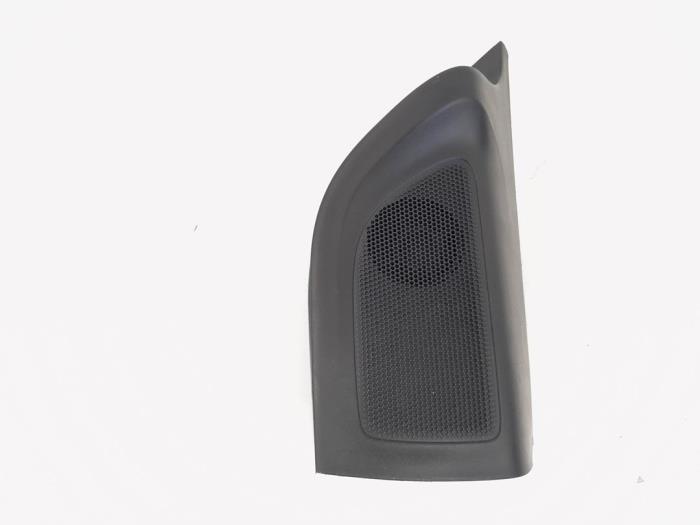 Chapeau de haut-parleur d'un Ford Ranger, Autos : Pièces & Accessoires, Habitacle & Garnissage, Ford, Utilisé, 3 mois de garantie