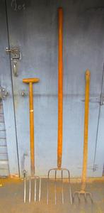 3 vorken ( rieken ), Enlèvement