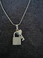 Nieuwe halsketting in stainless steel, Enlèvement ou Envoi, Neuf, Argent, Avec pendentif