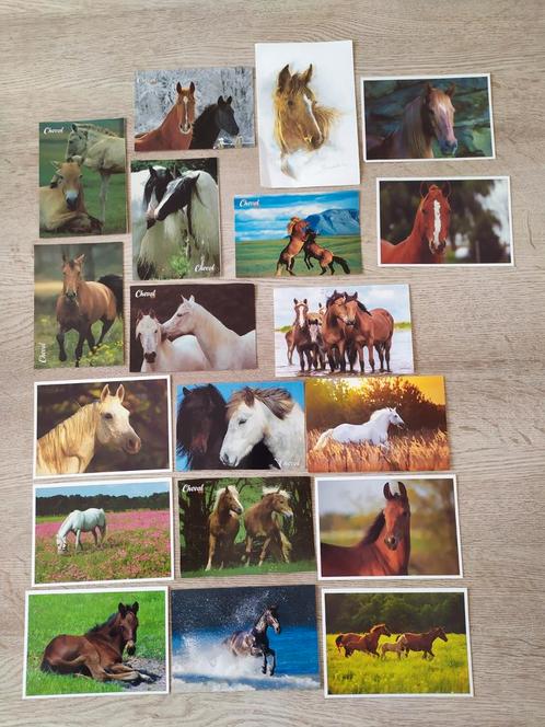 Lot de cartes postales "chevaux", Collections, Cartes postales | Animaux, Non affranchie, Cheval, Enlèvement ou Envoi