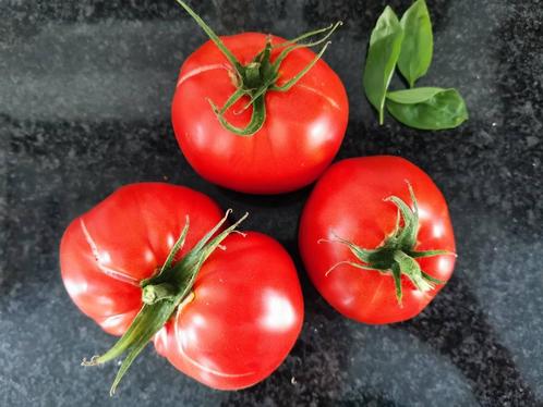 5 graines de tomate Saint Pierre BIO, Jardin & Terrasse, Bulbes & Semences, Graine, Printemps, Envoi