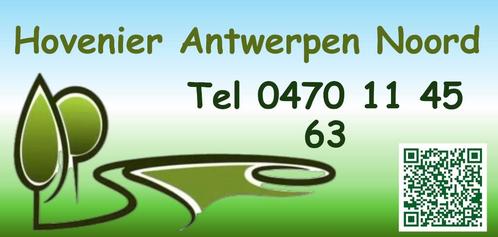 Hovenier Antwerpen Noord, Diensten en Vakmensen, Tuinmannen en Stratenmakers, Tuin- of Vijveraanleg, Tuinonderhoud of Snoeiwerk
