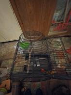 Vogelkooi/kanarie kooi, Dieren en Toebehoren, Ophalen of Verzenden, Vogelkooi