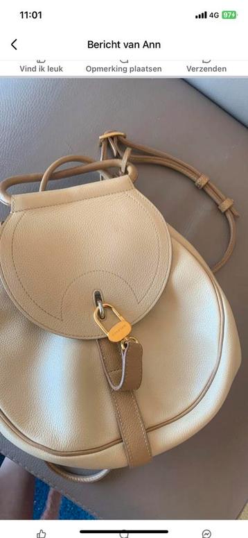 Prachtig klein model handtasje Delvaux cerceau model beschikbaar voor biedingen