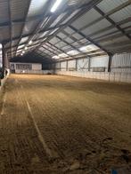 Paarden Volpension/lege stal te huur, Mise à l'étable, 4 chevaux ou poneys ou plus
